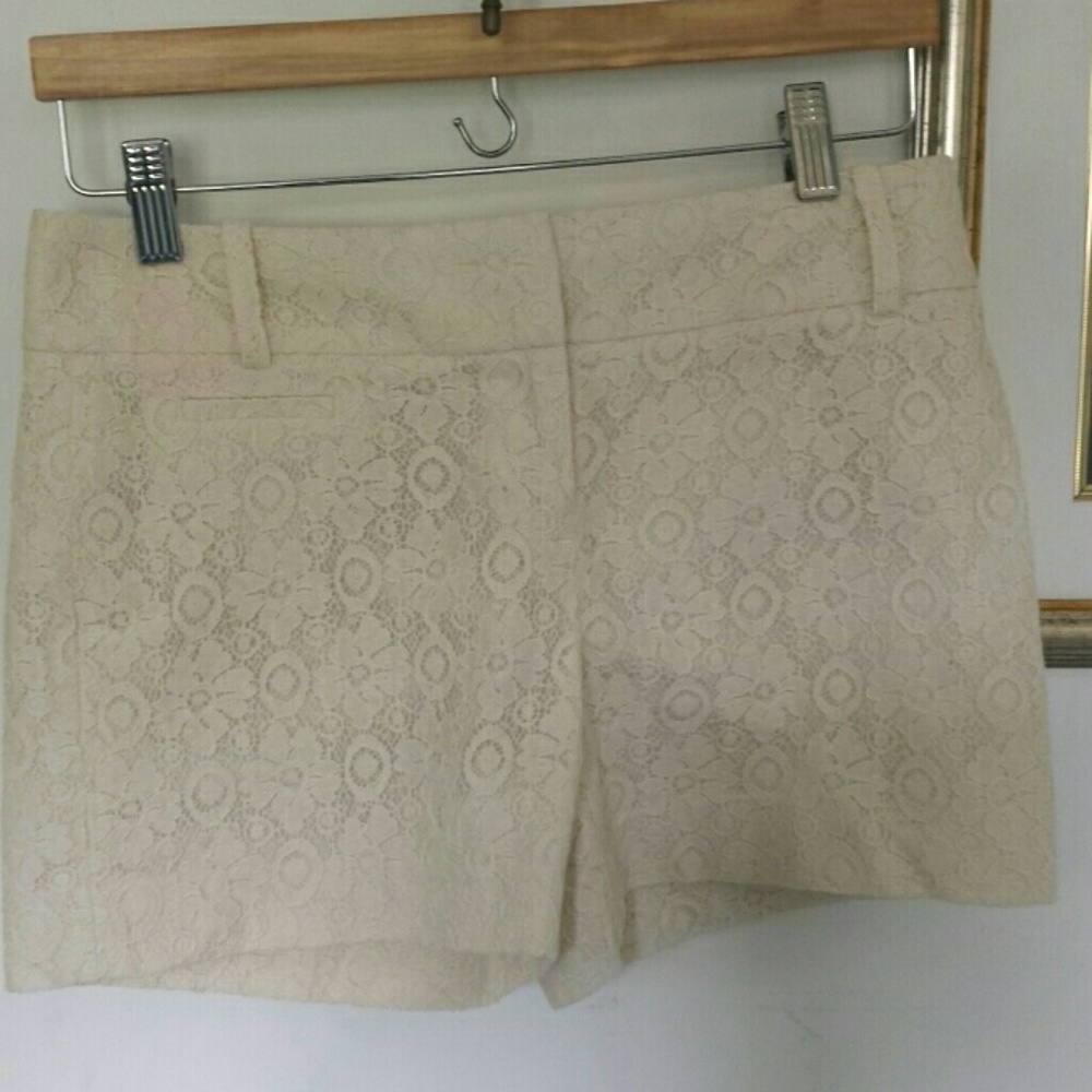 Loft NWT Shorts